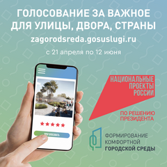 всероссийское голосование