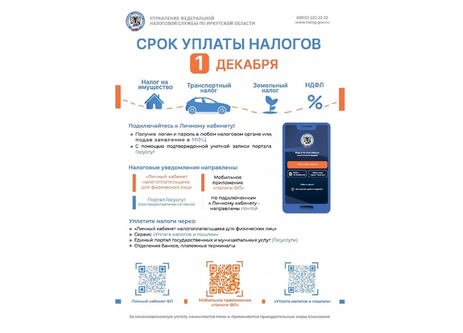 уплата имущественных налогов физическими лицами в 2025 году
