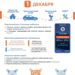 уплата имущественных налогов физическими лицами в 2025 году